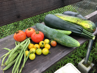 野菜