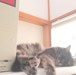 miwa