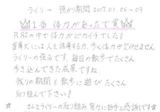 ライリー