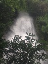 琴滝4
