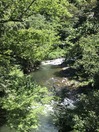 IMG_1227