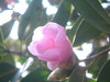 DSC01188