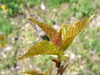 DSC01257