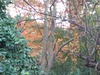 WP_001112