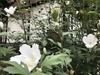 IMG_0030