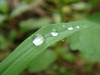 DSC08369