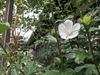 IMG_1170