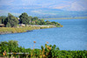 Capernaum8