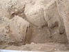 P1110353