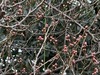 IMG_1911