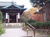 WP_001120