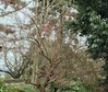IMG_0925a