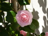 P1000460