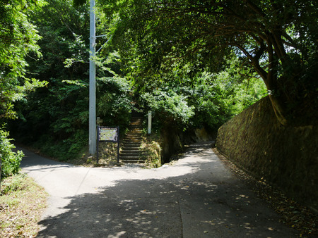 P1050951