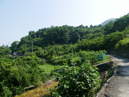 20180715-P1130154