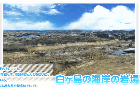 海岸