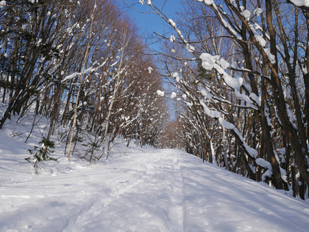 20180217-P1090921