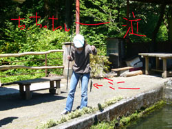 連れたけど