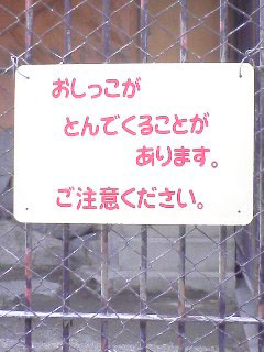とんできます