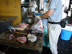 マグロ解体ひき