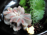 イワシ刺し