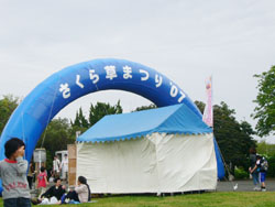 サクラソウまつり