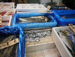 魚達