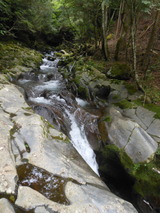 DSCN5473