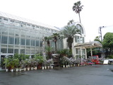 DSCN8619