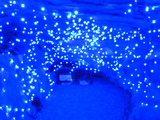 DSCN2919