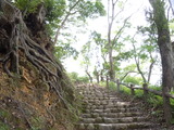 DSCN9666