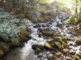 DSCN8014