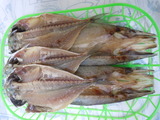 DSCN4572