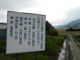 DSCN0544