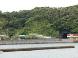 DSCN0955