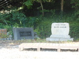 DSCN9698