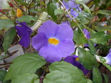 DSCN0926