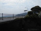 DSCN6103