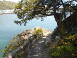 DSCN9901