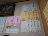 DSCN5617