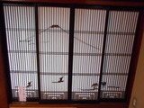 DSCN5486