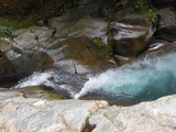 DSCN5467
