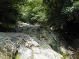 DSCN5462