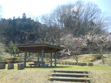 DSCN7519