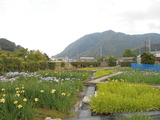 DSCN0541