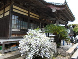 DSCN0567