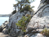 DSCN9902