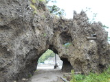 DSCN0960