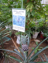 DSCN8640