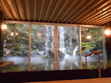 DSCN6750